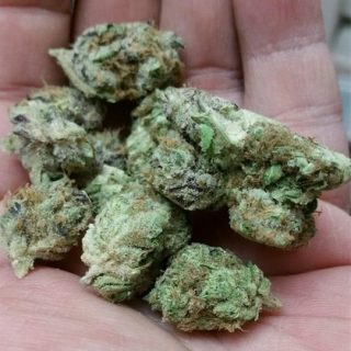 Candy Kush Weed Melbourne