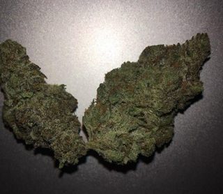 Grease Monkey Weed Wyong