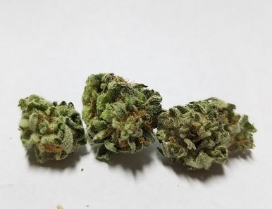 OG Kush Marijuana Sydney