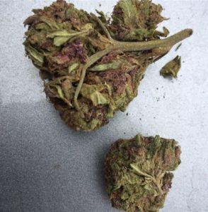 Purple Gorilla Marijuana Richmond