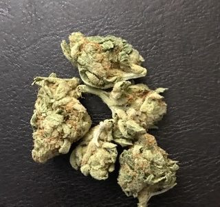 Tangerine Dream Cannabis AU