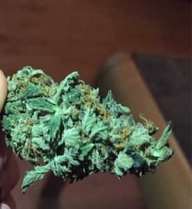Mango Kush Cannabis AU