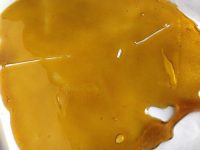 Thin Mint Shatter Concentrate