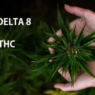 Buy Delta 8 THC Cannabis Australia